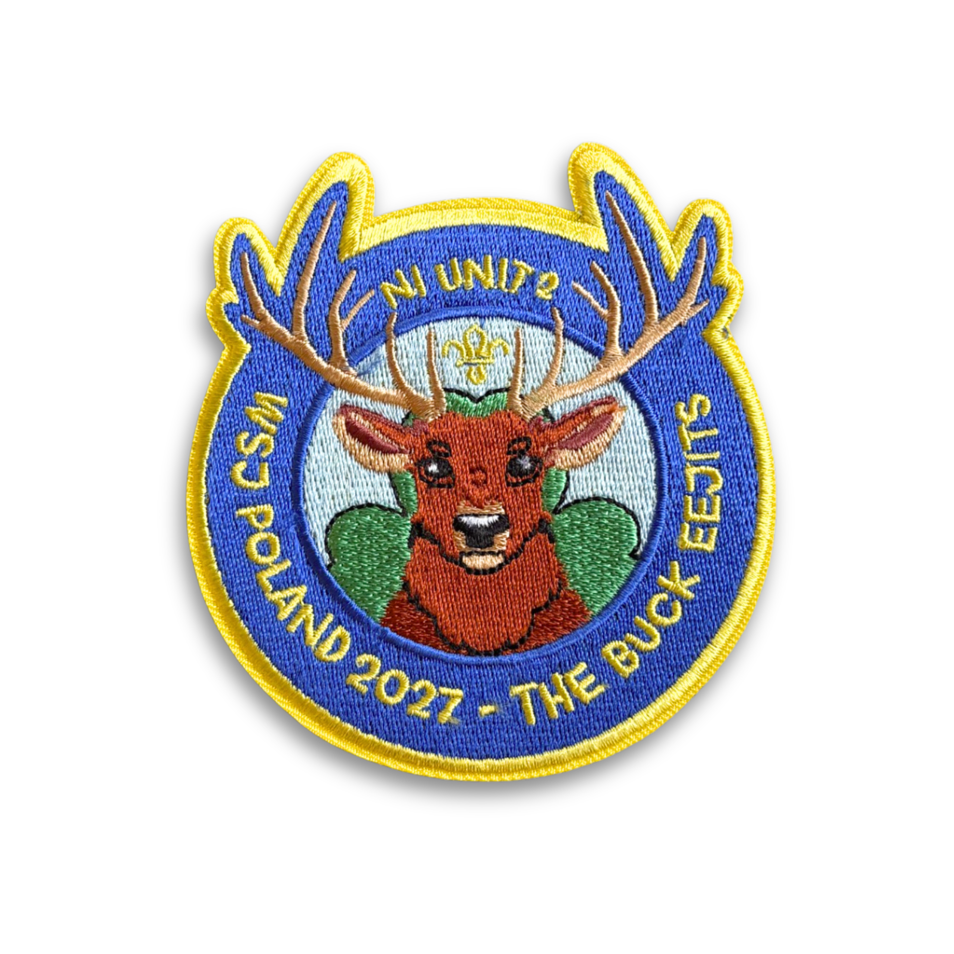 Unit 2 – The Buck Eejits Badge